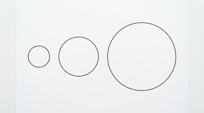 Which shape is largest?